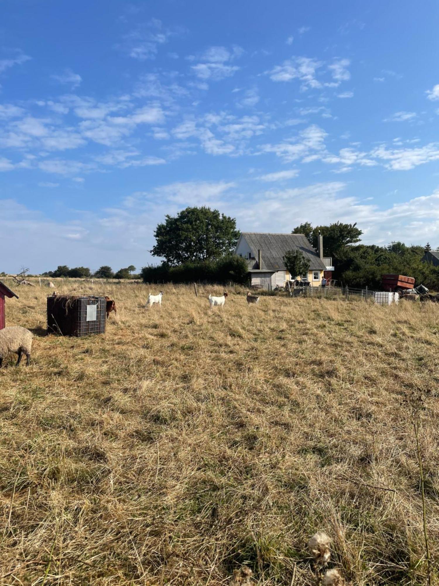 Oestermark Ærøskøbing Esterno foto